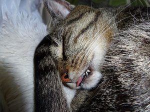 DSC05069 (640x480).jpg