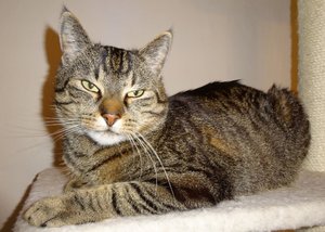 DSC05092 (640x455).jpg