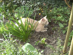 Erster Freigang 1.jpg