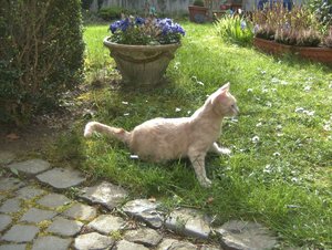 Erster Freigang 2.jpg