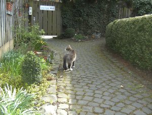 Erster Freigang 4.jpg