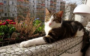 DSC05249 (640x395).jpg