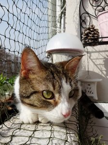 DSC05246 (476x640).jpg