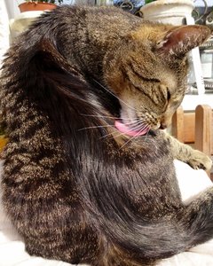 DSC05235 (511x640).jpg