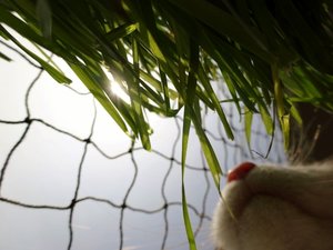 DSC05244 (640x480).jpg