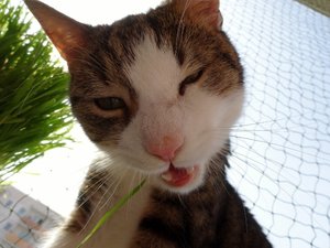 DSC05228 (640x479).jpg