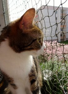 DSC05193 (460x640).jpg