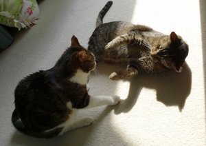 DSC05250 (640x451).jpg