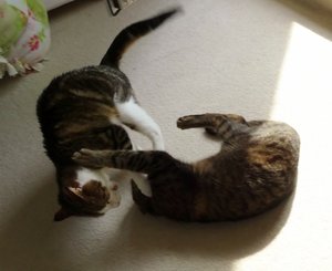 DSC05257 (640x521).jpg