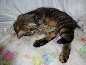 DSC05169 (640x480).jpg