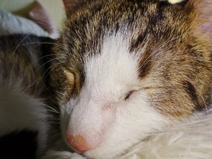 DSC05165 (640x480).jpg