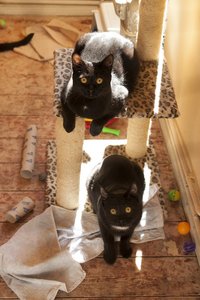 _DSC0001 - Kopie.JPG