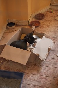 _DSC0009 - Kopie.JPG