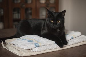 _DSC0013-2 - Kopie.JPG