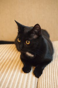 _DSC0076 - Kopie.JPG