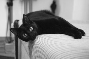 _DSC0075 - Kopie.JPG