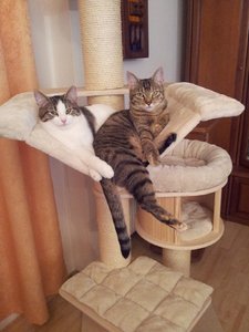 Lusy und Vicky verk.jpg