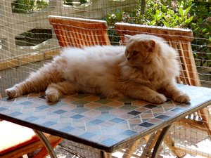 Prinz im Frühling.jpg