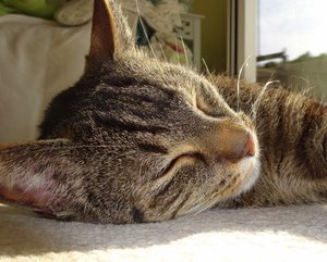 DSC05547 (640x514).jpg