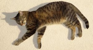 DSC05545 (640x349).jpg