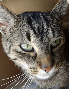 DSC05427 (499x640).jpg