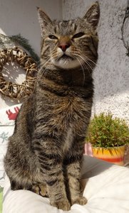 DSC05310 (385x640).jpg