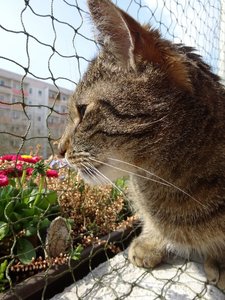 DSC05292 (480x640).jpg