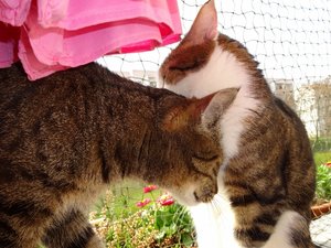 DSC05303 (640x480).jpg