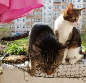 DSC05306 (640x613).jpg