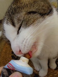 DSC05409 (480x640).jpg