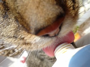 DSC05387 (640x480).jpg