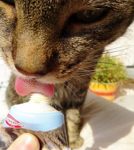 DSC05377 (570x640).jpg