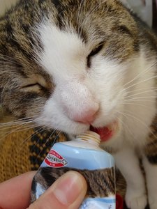 DSC05370 (480x640).jpg