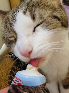 DSC05354 (480x640).jpg