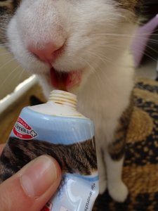 DSC05347 (480x640).jpg