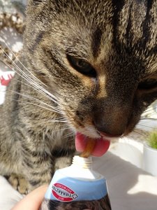 DSC05338 (480x640).jpg