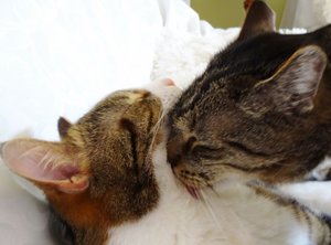 DSC05483 (640x473).jpg