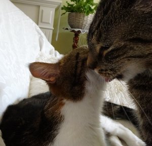 DSC05482 (640x613).jpg