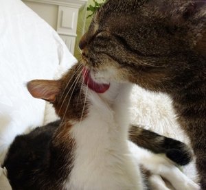 DSC05479 (640x589).jpg