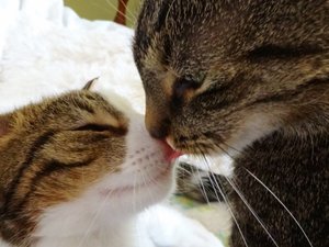 DSC05445 (640x480).jpg