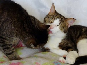 DSC05435 (640x480).jpg