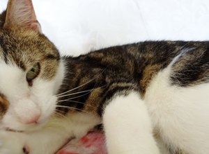 DSC05509 (640x473).jpg