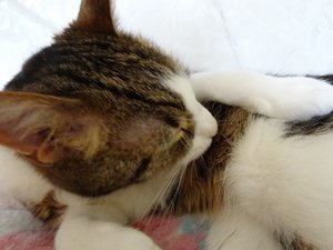 DSC05503 (640x480).jpg