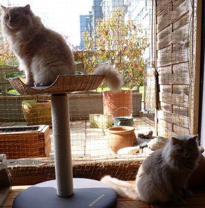 Quincel und Lucky.jpg