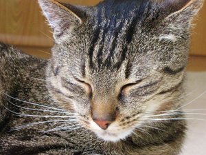 IMG_0696 (640x480).jpg