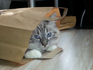 20140404_162340 (1).jpg