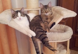 Lusy und Vicky 270214.jpg