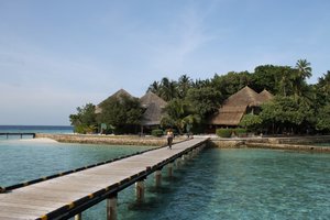 IMG_3329 (Medium).JPG