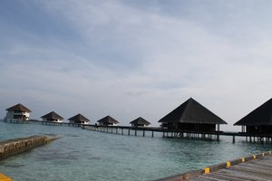 IMG_3332 (Medium).JPG