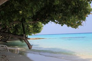 IMG_3398 (Medium).JPG